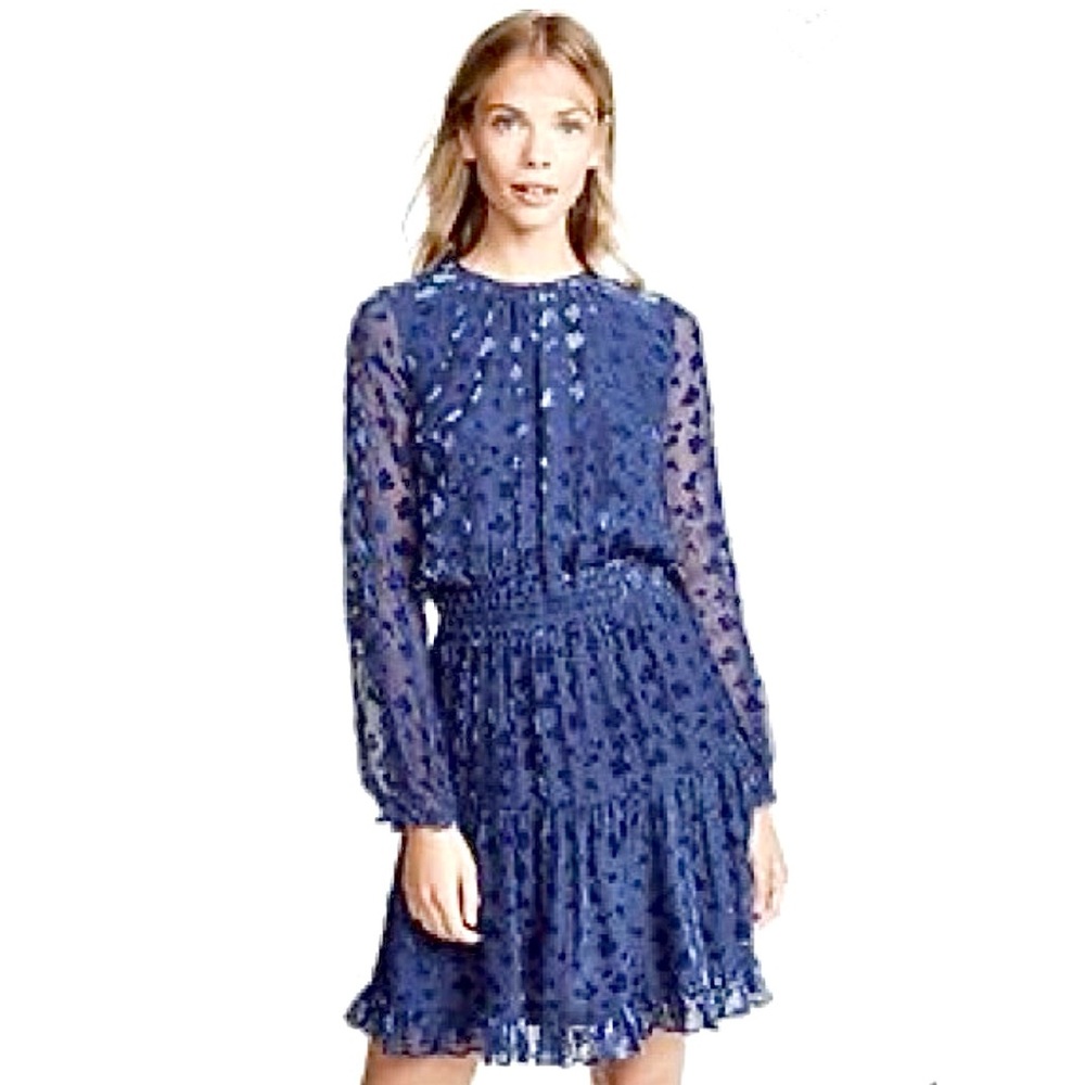 Anthro Shoshanna Velvet Burnout Levon Dress Floral Lapis Blue Silk Blend Sz 6